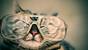 Image of cat with huge glasses