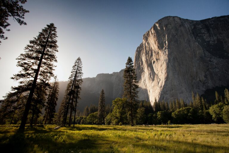 Image of Yosemite park by Adam Kool via Unsplash